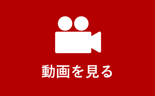 動画を見る